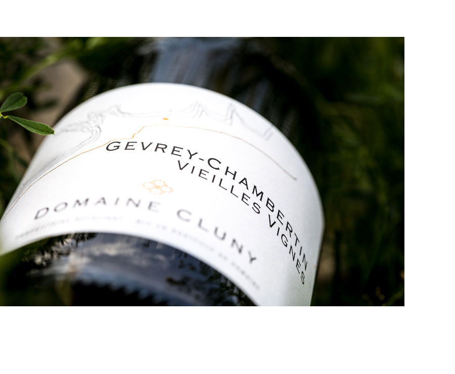 Gevrey Chambertin