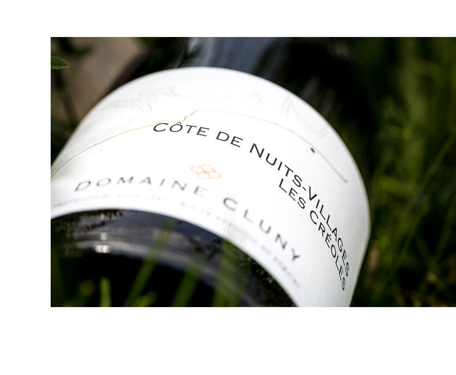 Cote de nuits