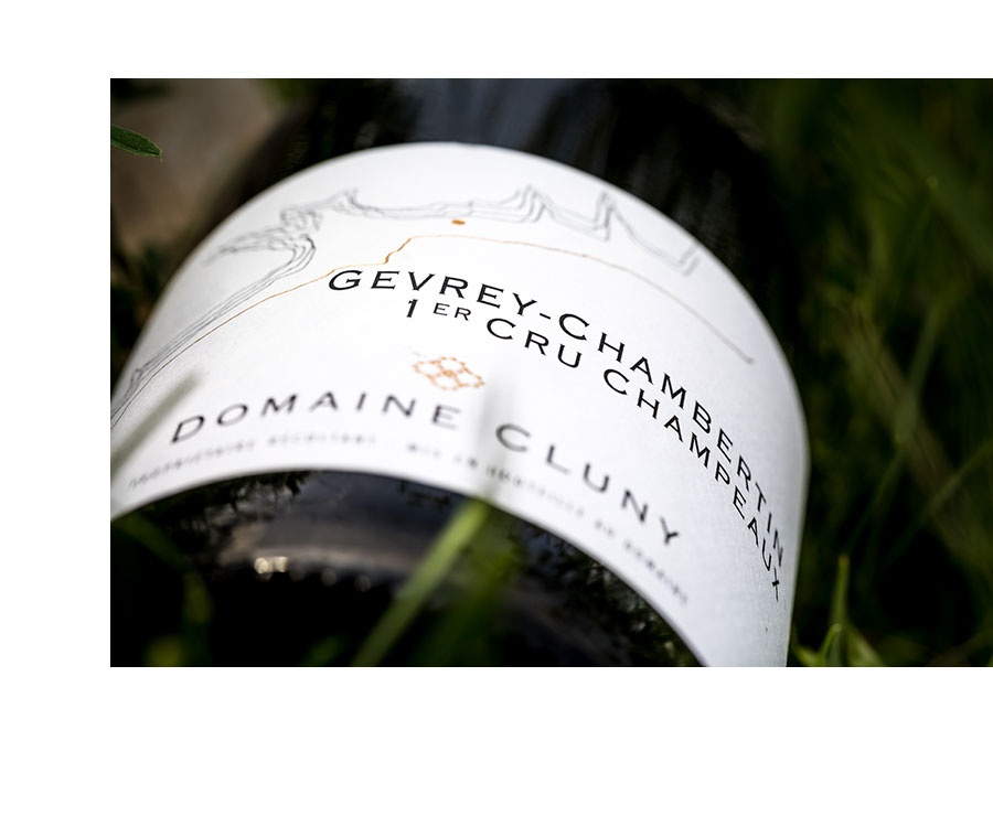 Gevrey-Chambertin 1er Cru LES CHAMPEAUX