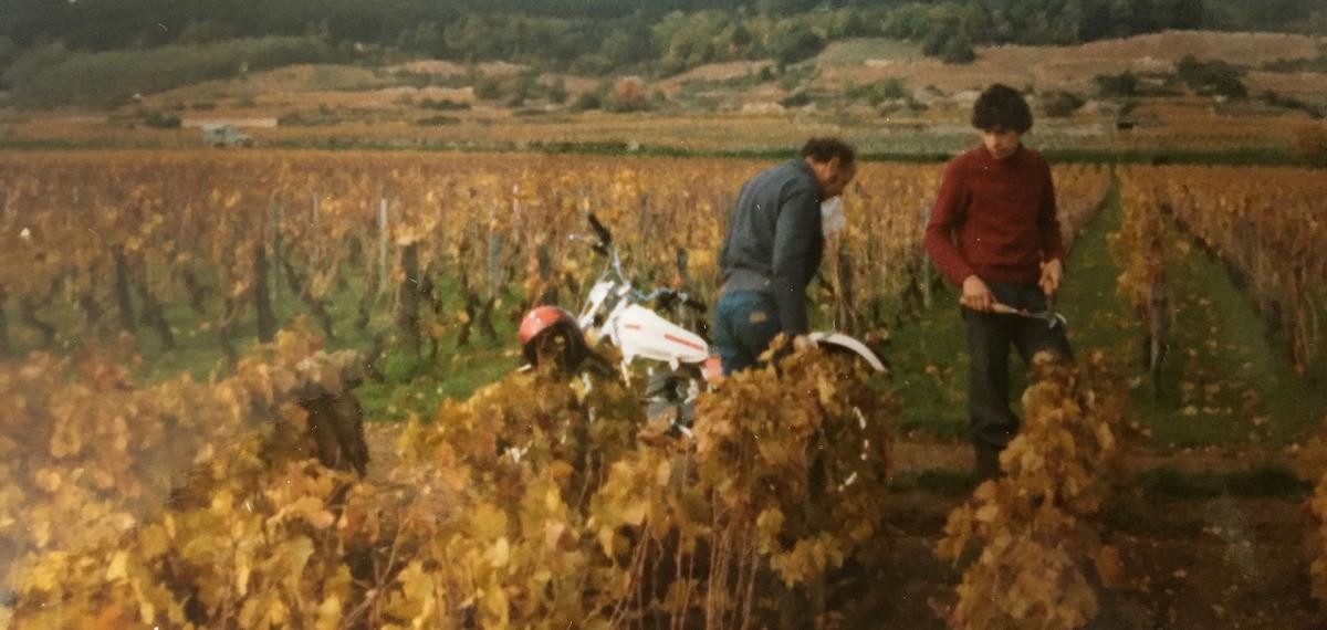 photo vintage dans les vignes
