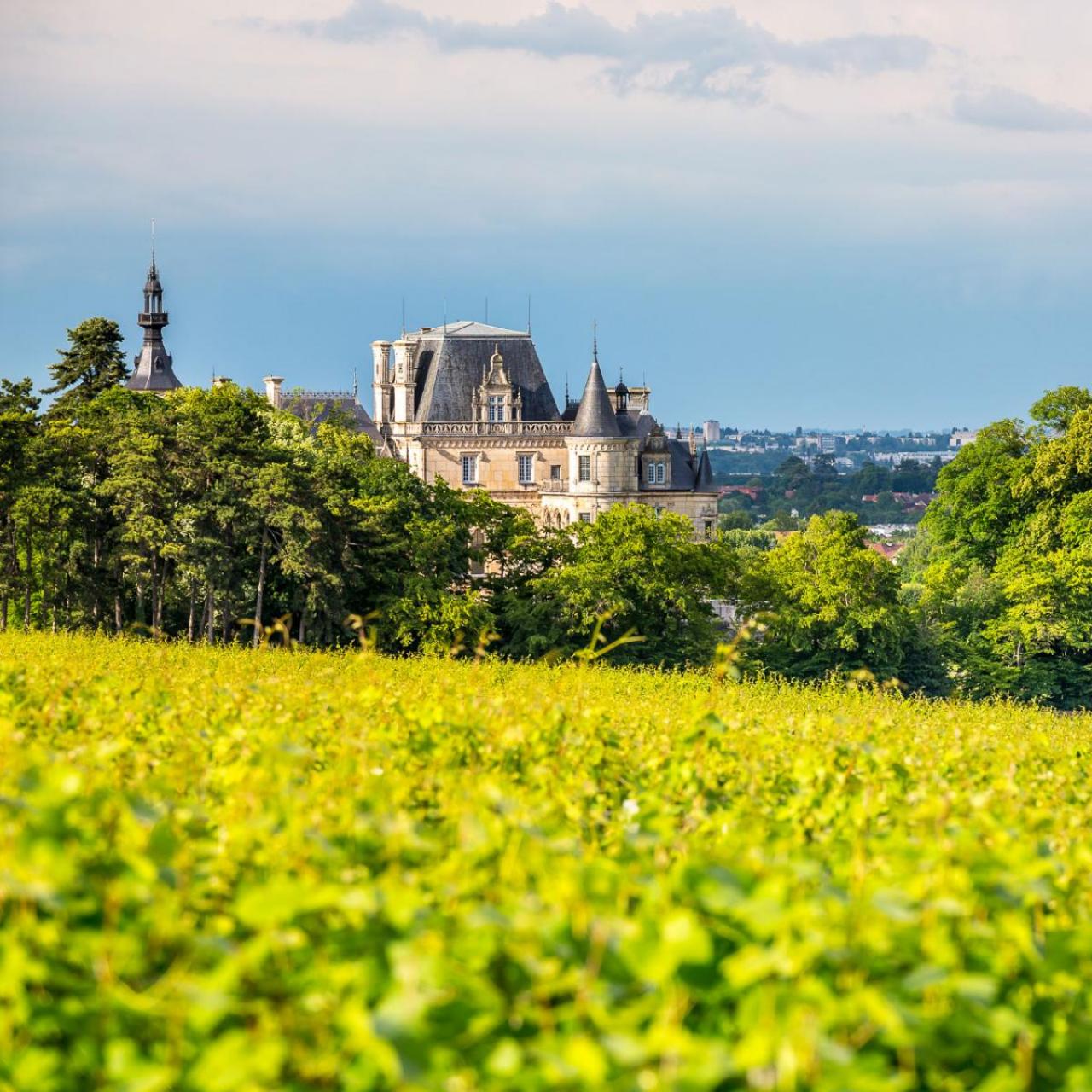 À Brochon dans les vignes